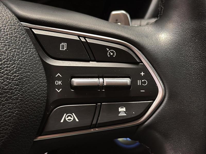 hyundai Santa Fe 2022 - 20