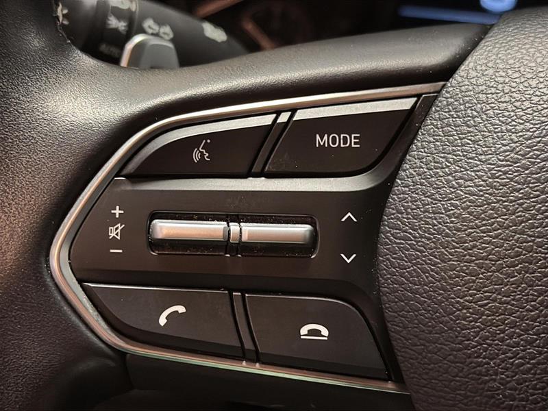 hyundai Santa Fe 2022 - 21