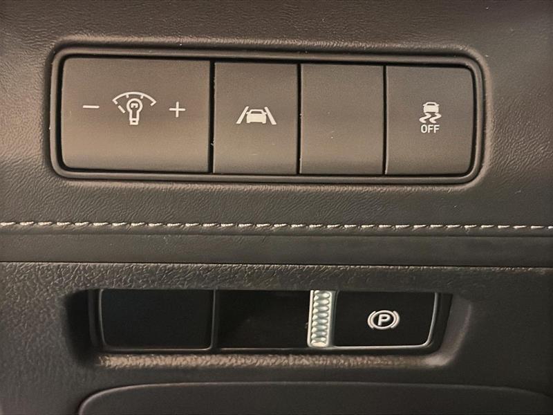 hyundai Santa Fe 2022 - 22