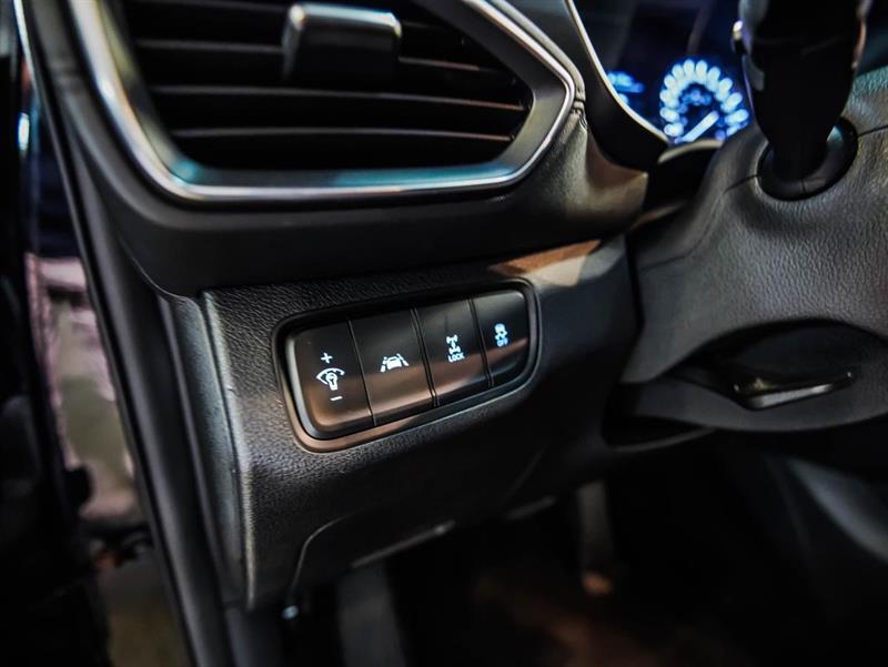 hyundai Santa Fe 2019 - 12