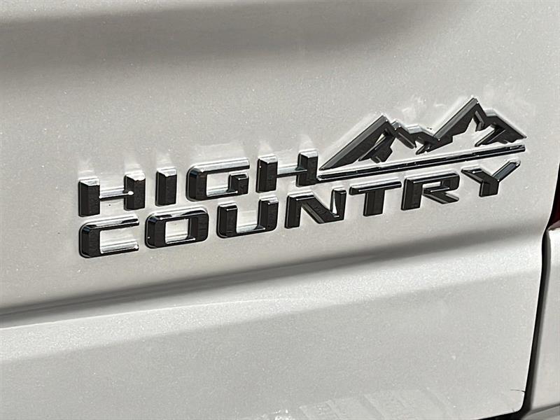 chevrolet Silverado 1500 2021 - 10