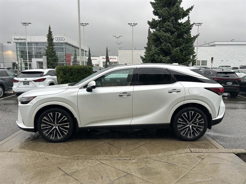 lexus RX 2024 - 2