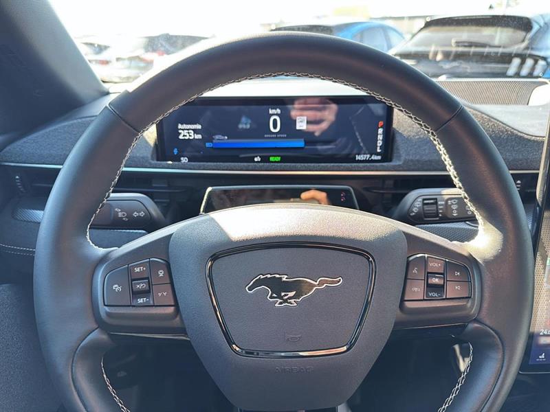 ford Mustang Mach-E 2024 - 15