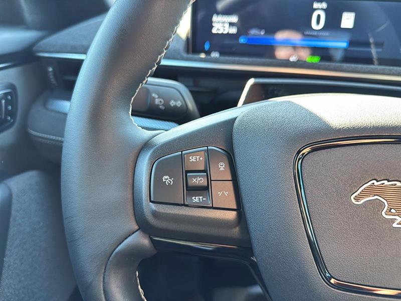 ford Mustang Mach-E 2024 - 16