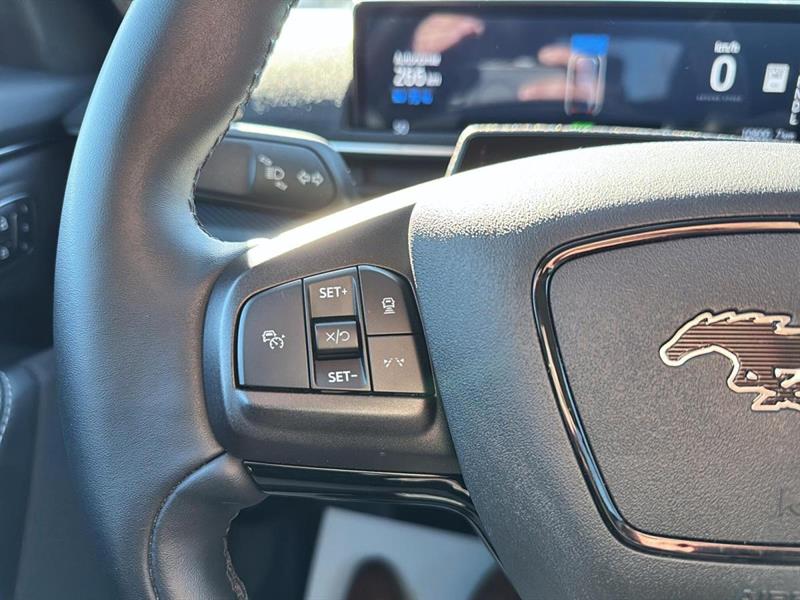 ford Mustang Mach-E 2024 - 14