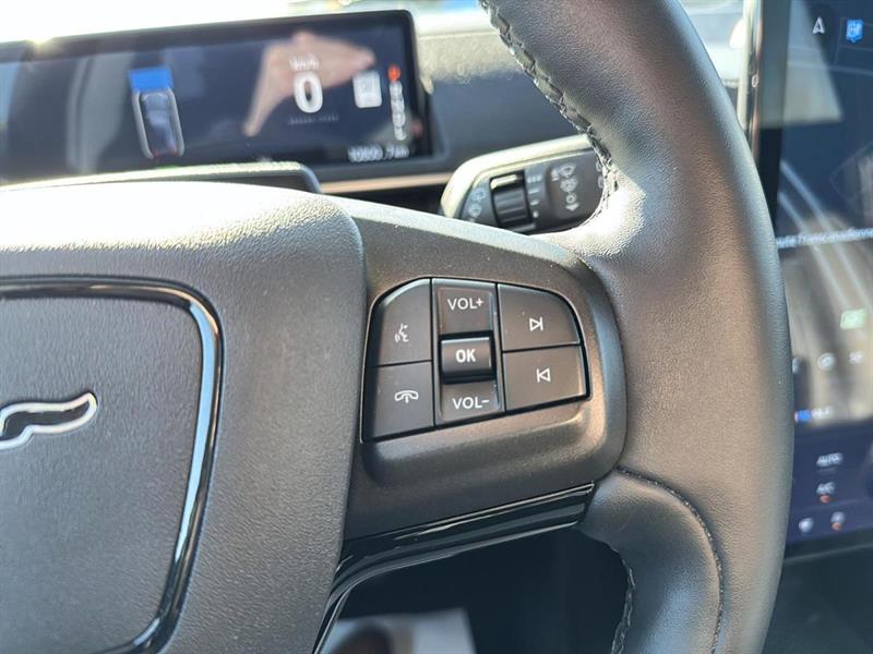 ford Mustang Mach-E 2024 - 15