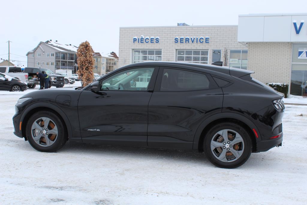 ford Mustang Mach-E 2022 - 12