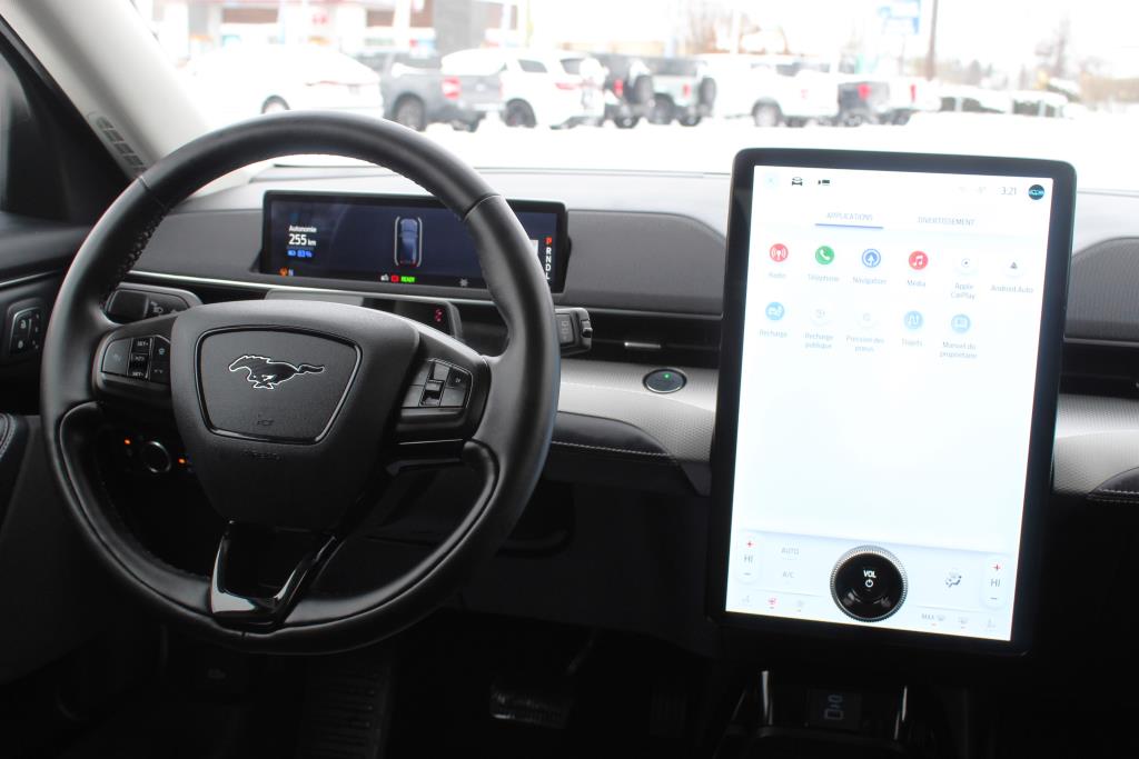 ford Mustang Mach-E 2022 - 17