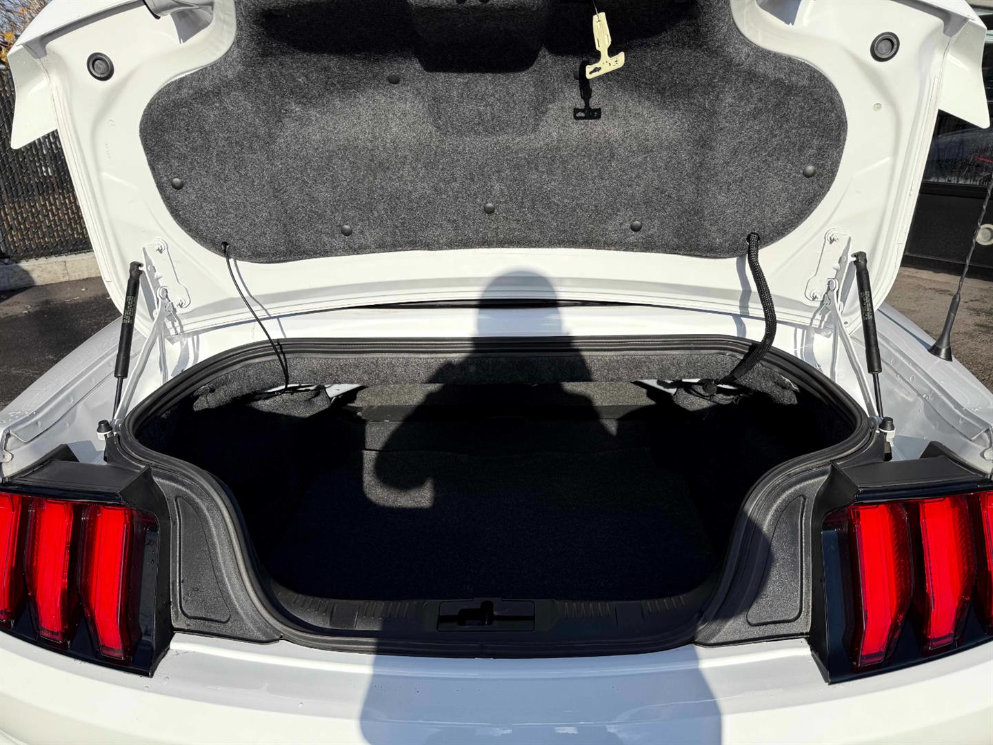 ford Mustang 2021 - 21