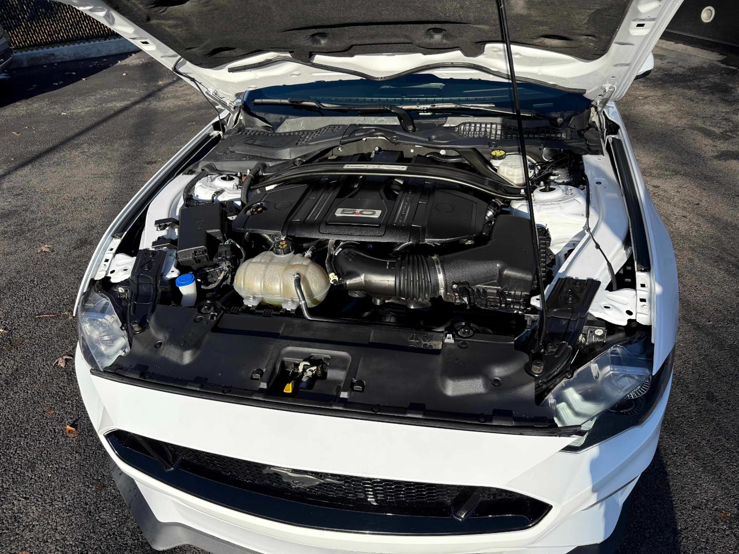 ford Mustang 2021 - 24