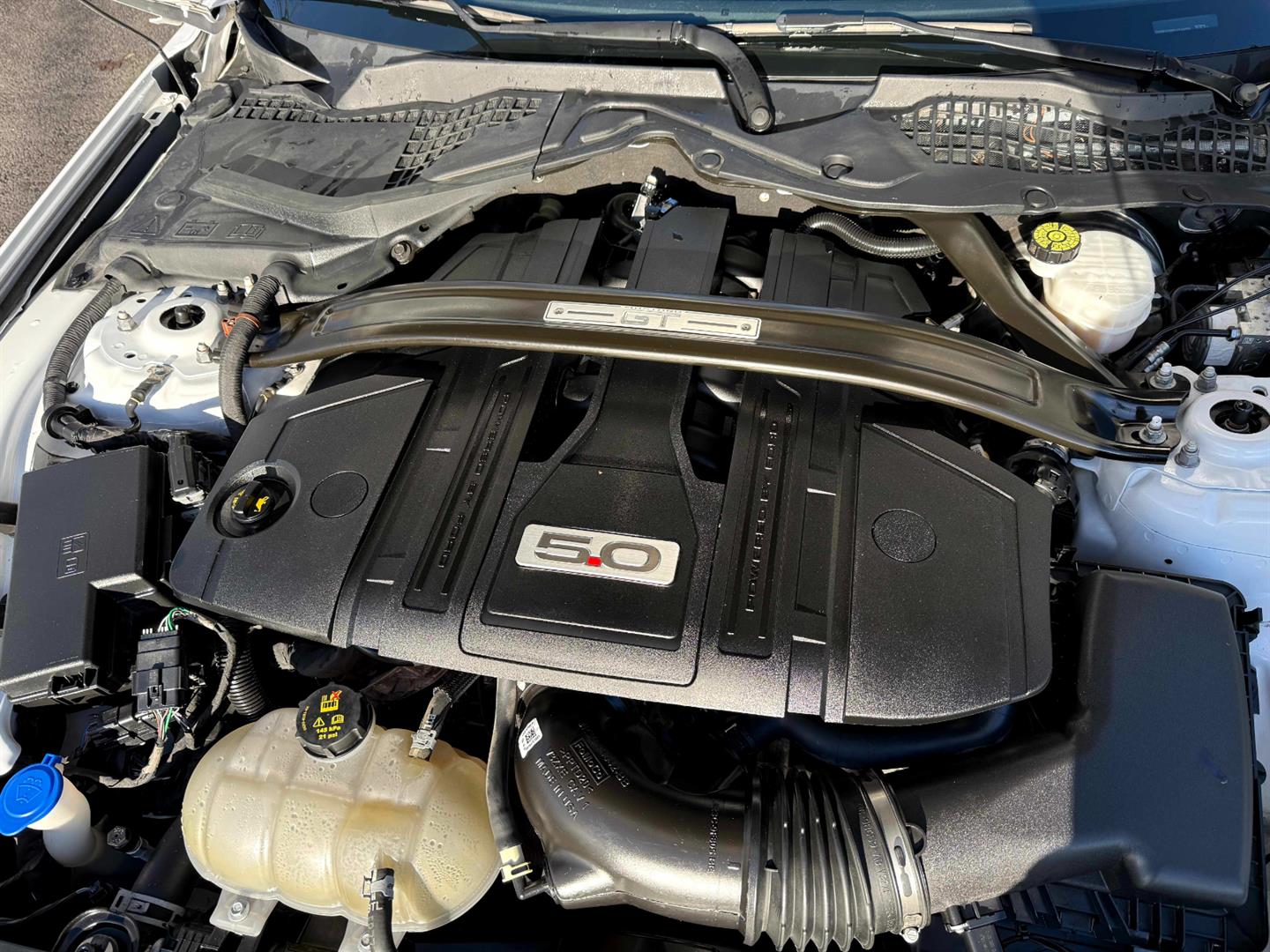 ford Mustang 2021 - 25