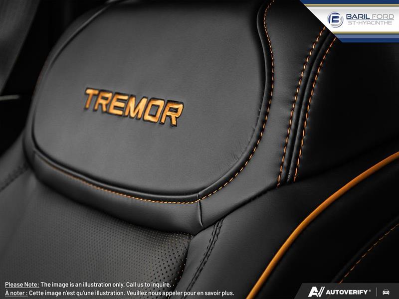 ford F-150 2025 - 21