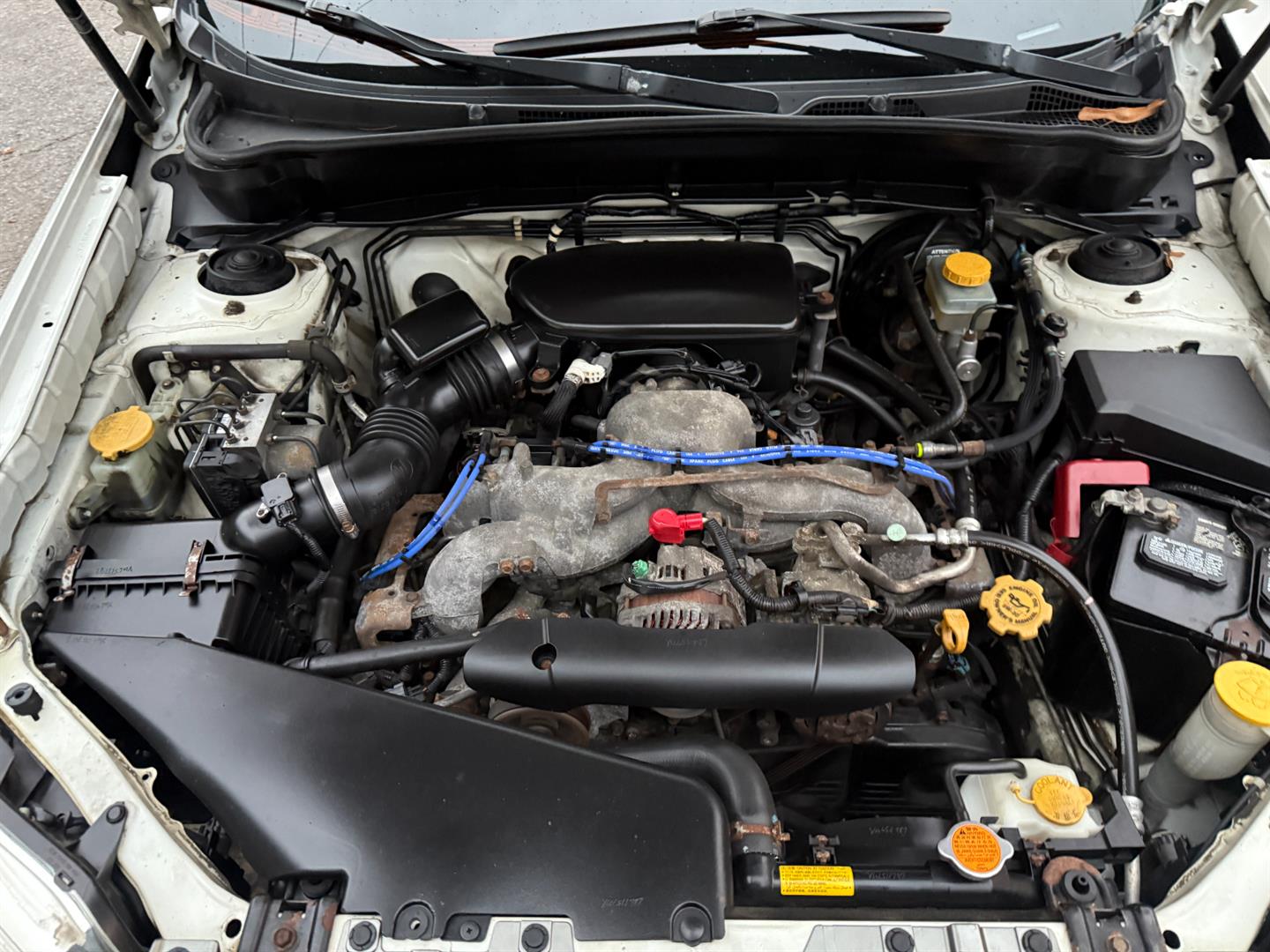 subaru Forester (Natl) 2009 - 19