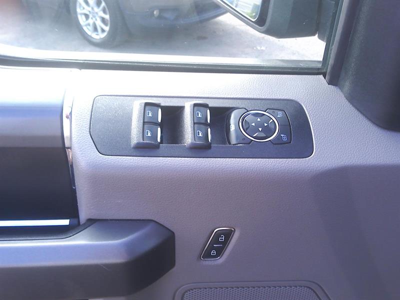 ford F-150 2019 - 14