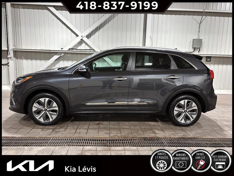 kia Niro EV 2020 - 5