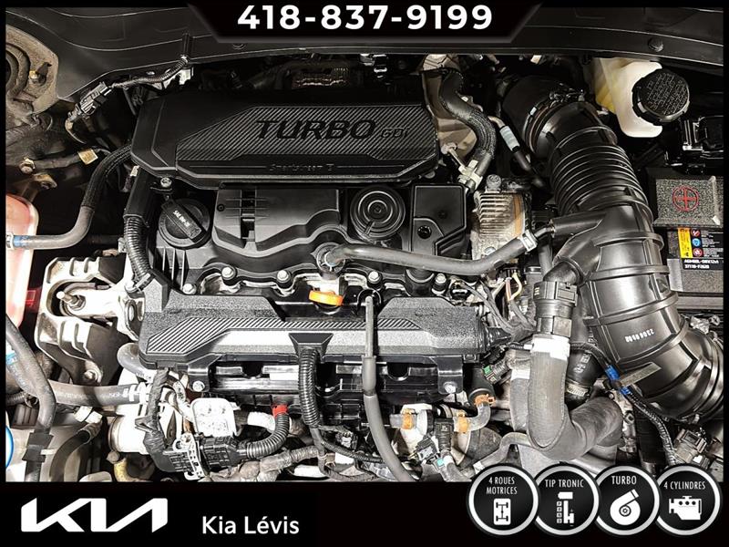 kia Seltos 2024 - 15