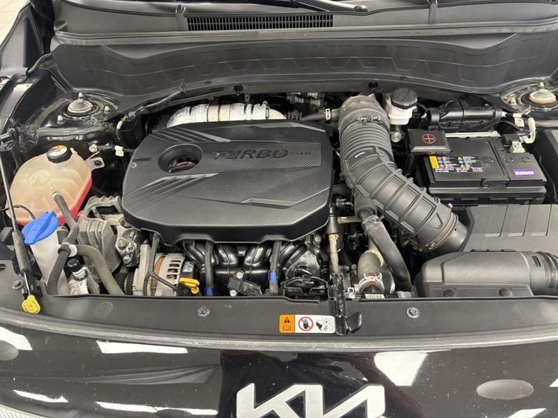 kia Seltos 2022 - 19