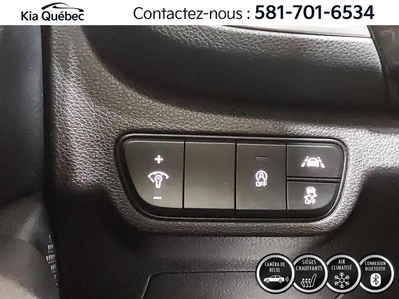 kia Seltos 2023 - 17