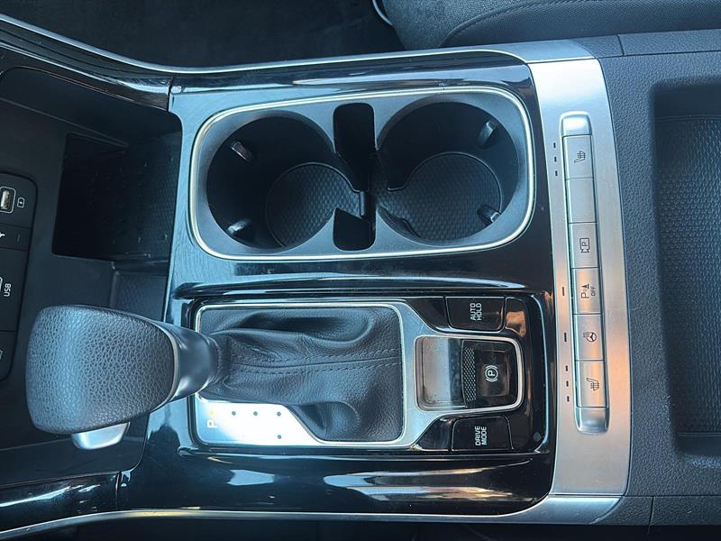 kia Carnival 2024 - 15