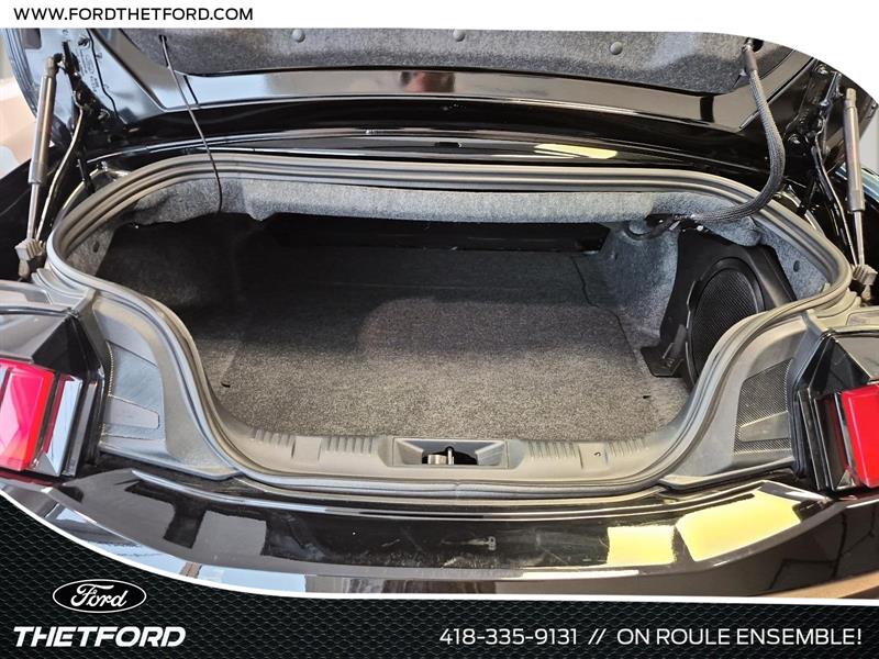 ford Mustang 2024 - 9