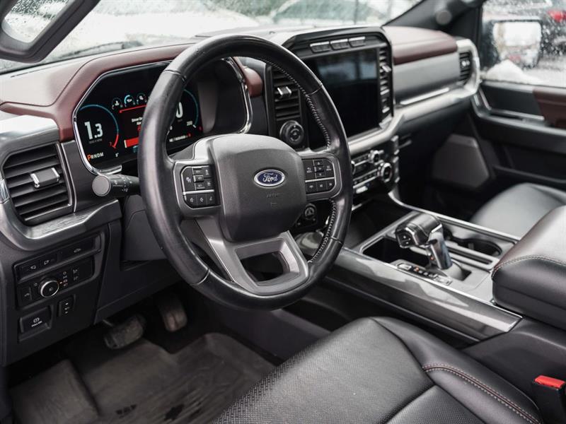 ford F-150 2022 - 14