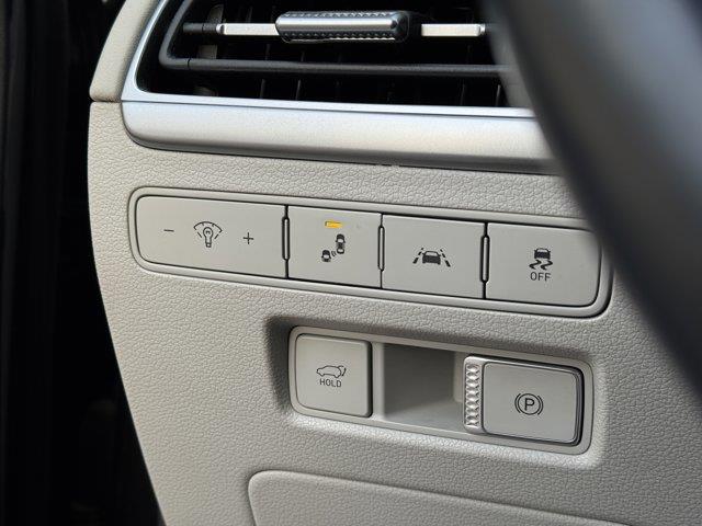 hyundai Palisade 2020 - 19