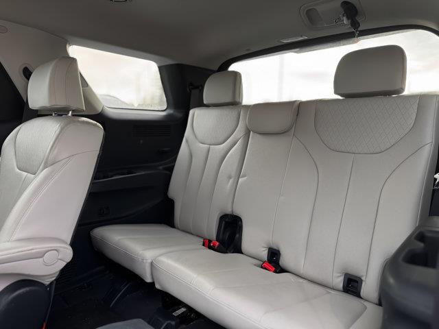 hyundai Palisade 2020 - 29