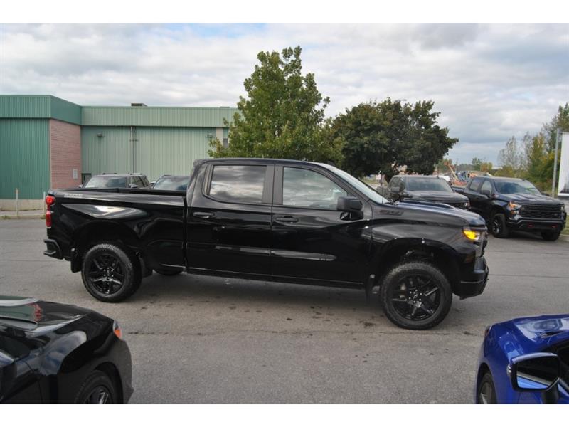 chevrolet Silverado 1500 2024 - 6