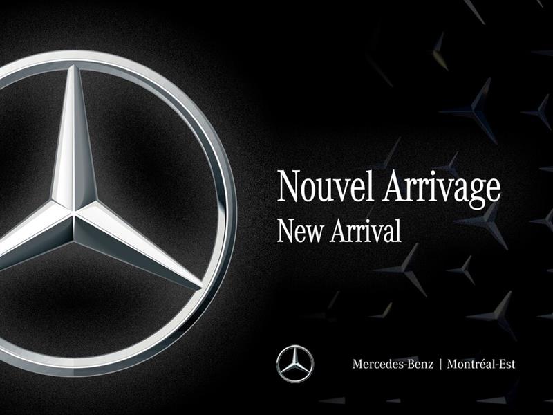 mercedes-benz Sprinter fourgonnette utilitaire 2023 - 2