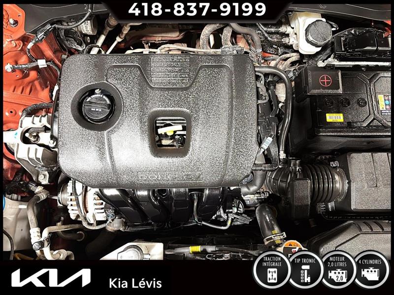 kia Seltos 2023 - 15