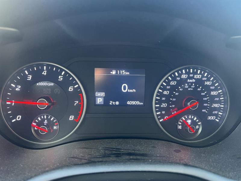 kia Stinger 2019 - 22