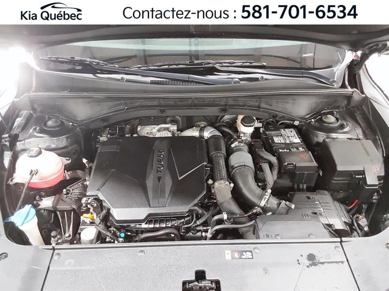 kia Sorento 2024 - 7