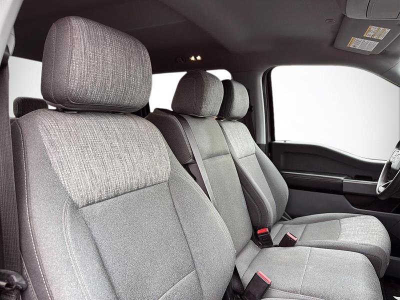 ford F-150 2021 - 10