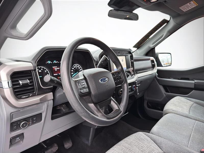 ford F-150 2021 - 12