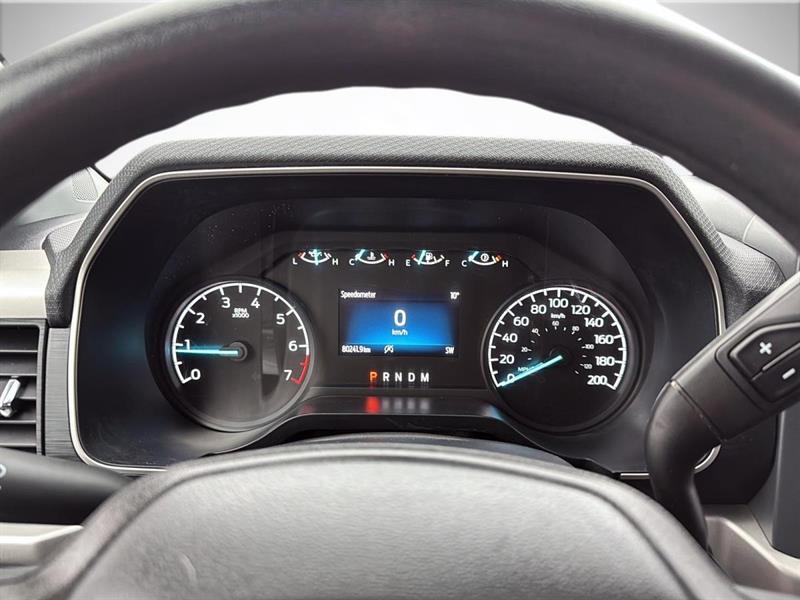 ford F-150 2021 - 14