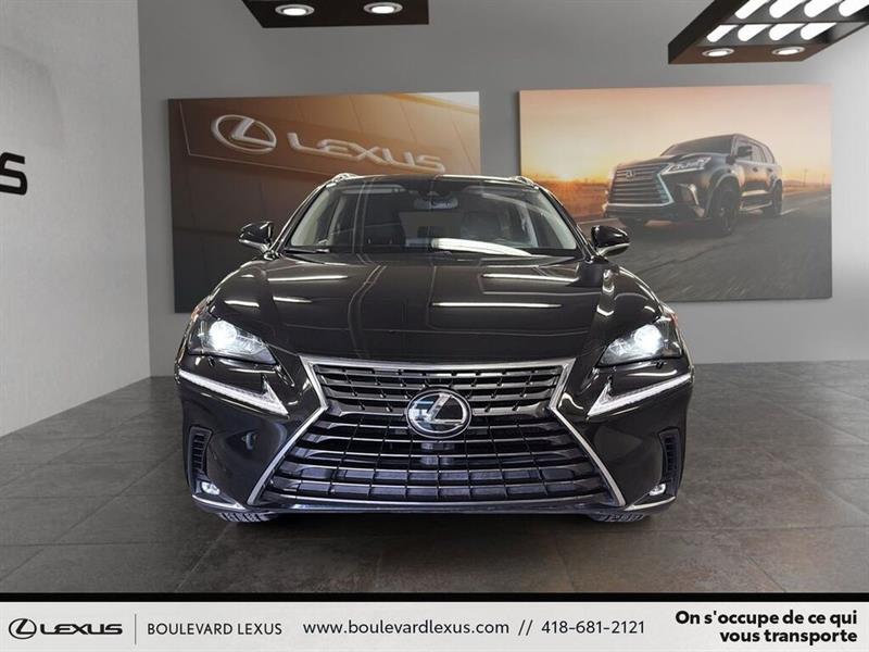 lexus NX 2021 - 2