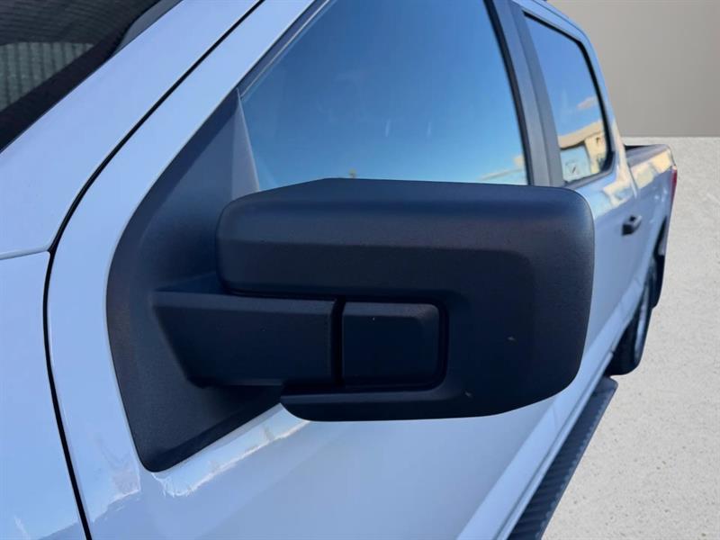 ford F-150 2021 - 10