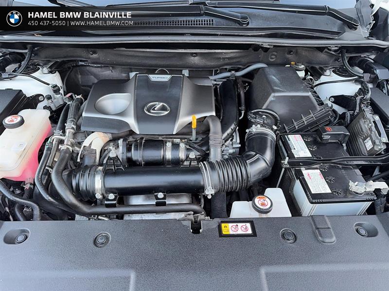 lexus NX 300 2021 - 8