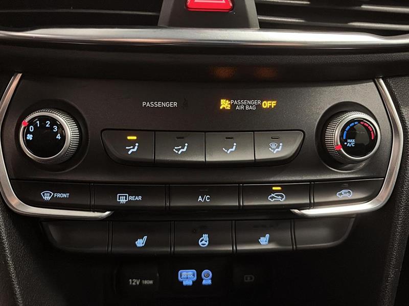 hyundai Santa Fe 2020 - 19