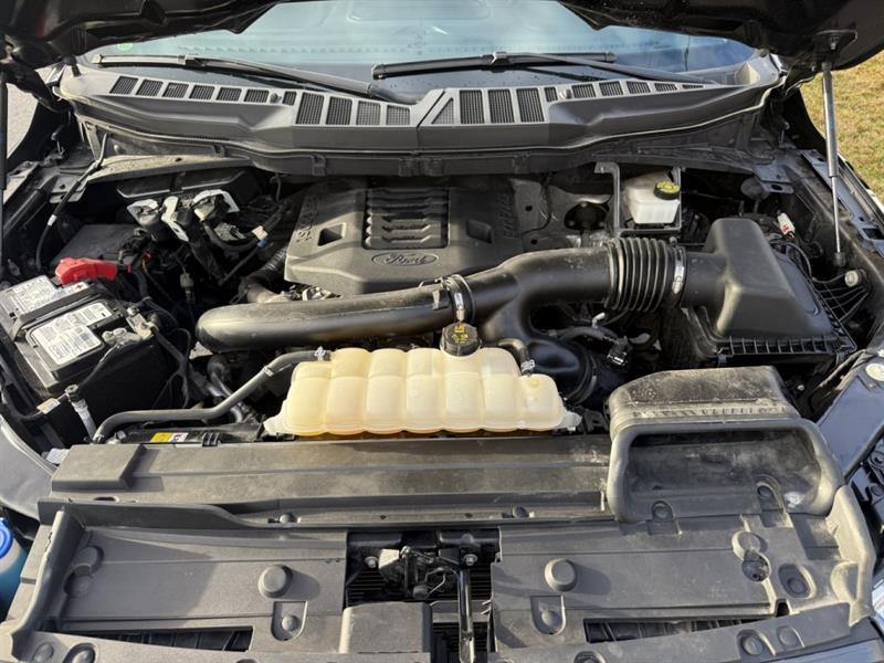 ford F-150 2023 - 16