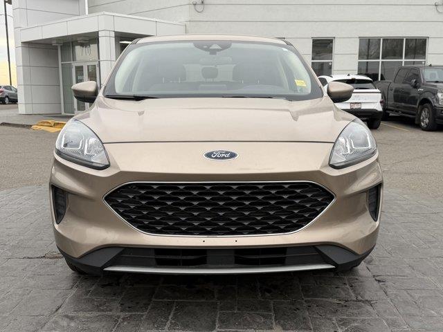 ford Escape 2020 - 2