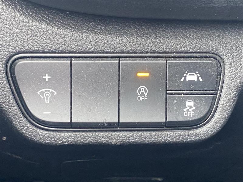 kia Seltos 2022 - 16