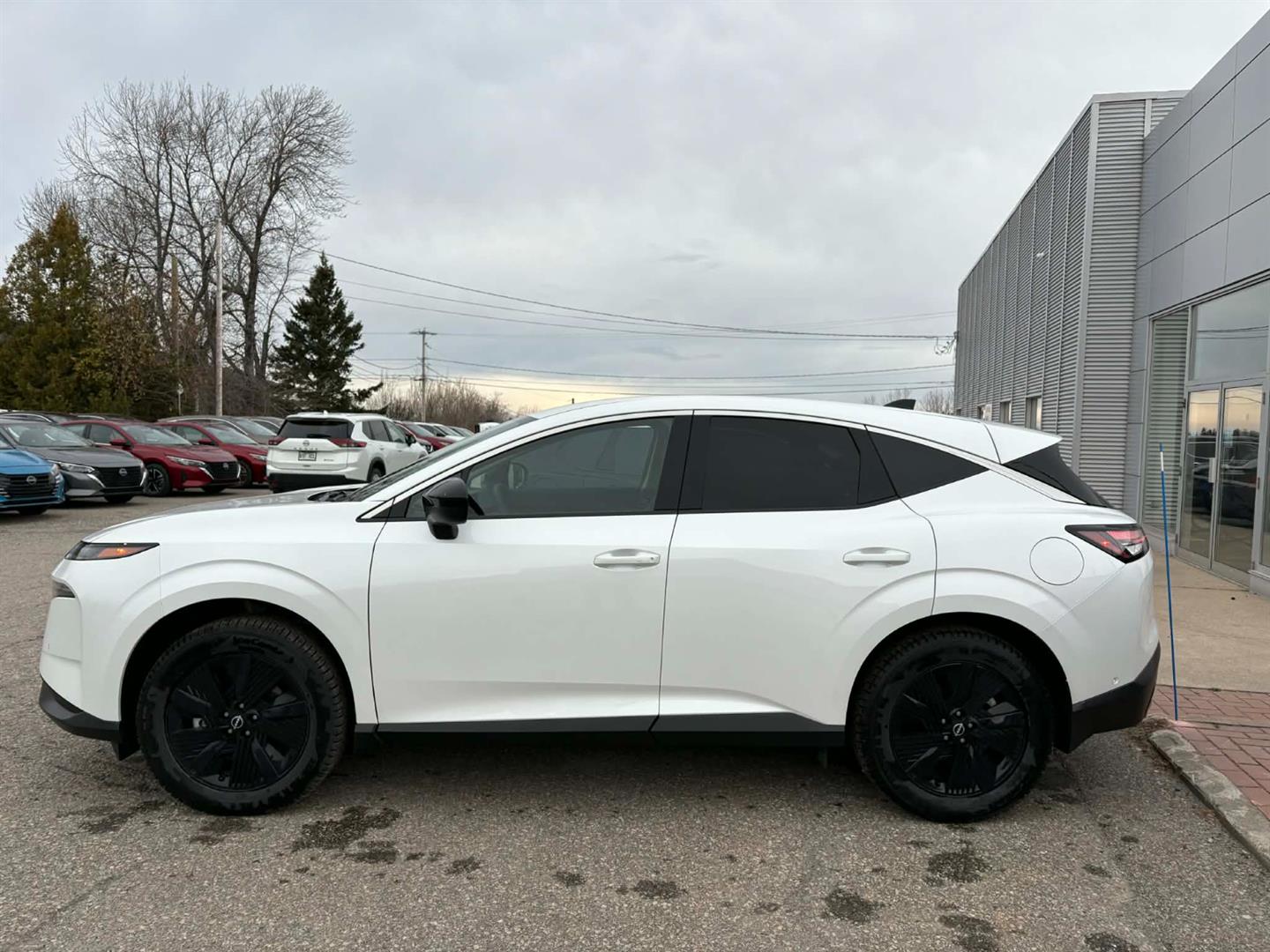 nissan Murano 2025 - 4