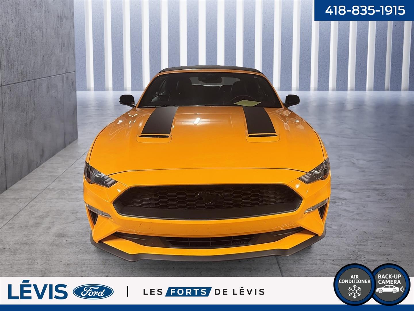 ford Mustang 2022 - 4