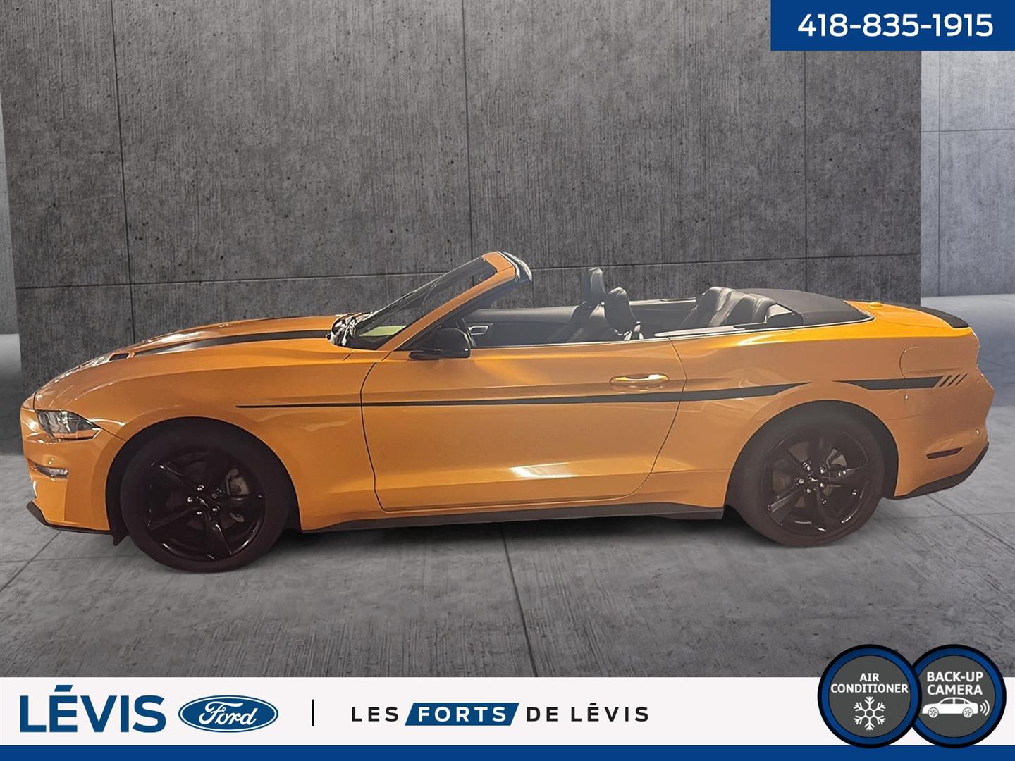 ford Mustang 2022 - 16