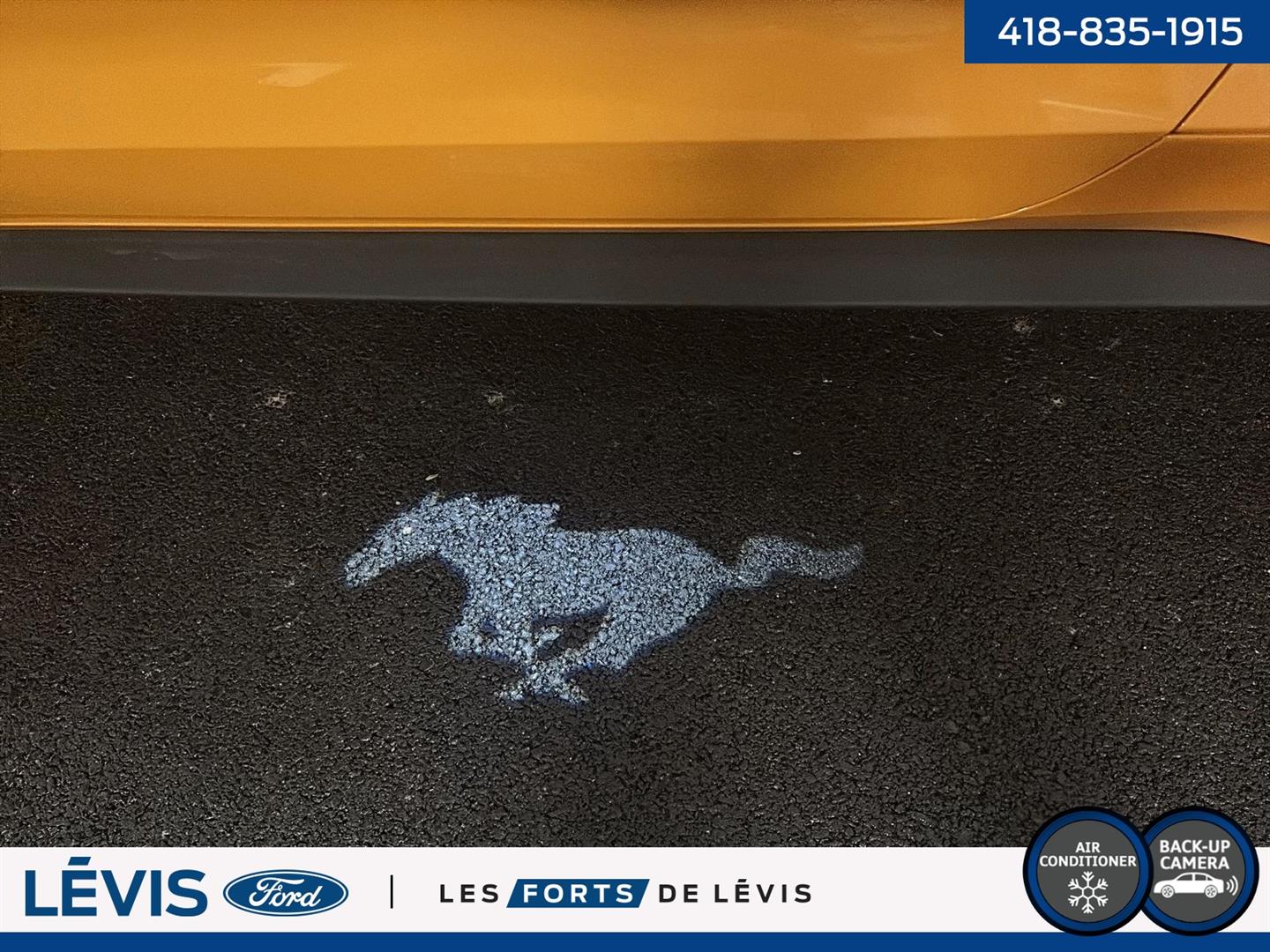 ford Mustang 2022 - 18