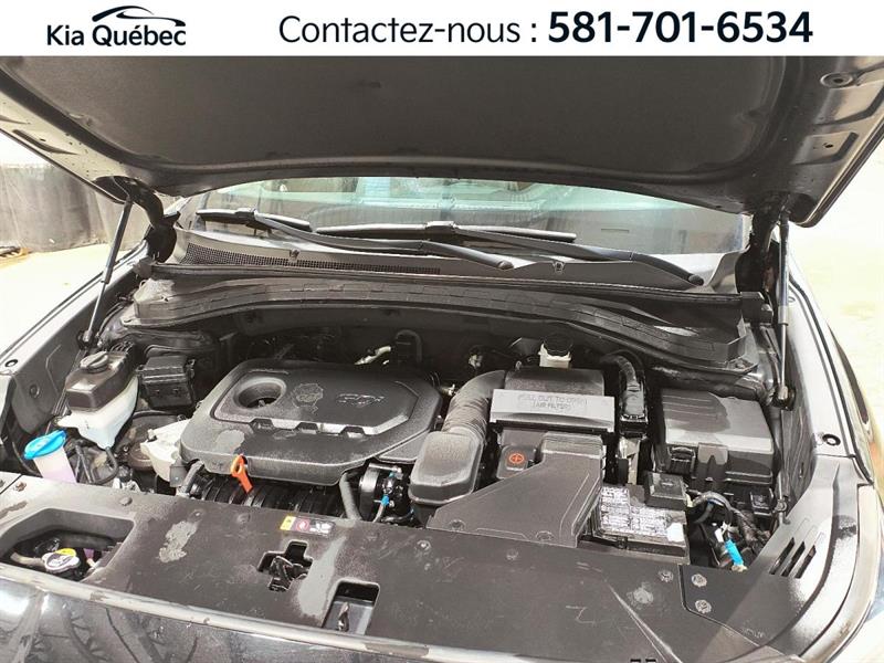 hyundai Santa Fe 2020 - 7