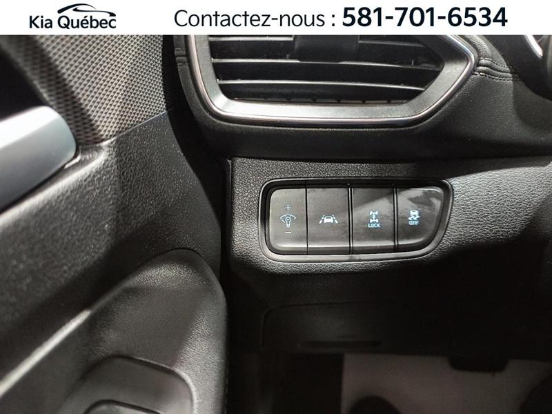 hyundai Santa Fe 2020 - 17