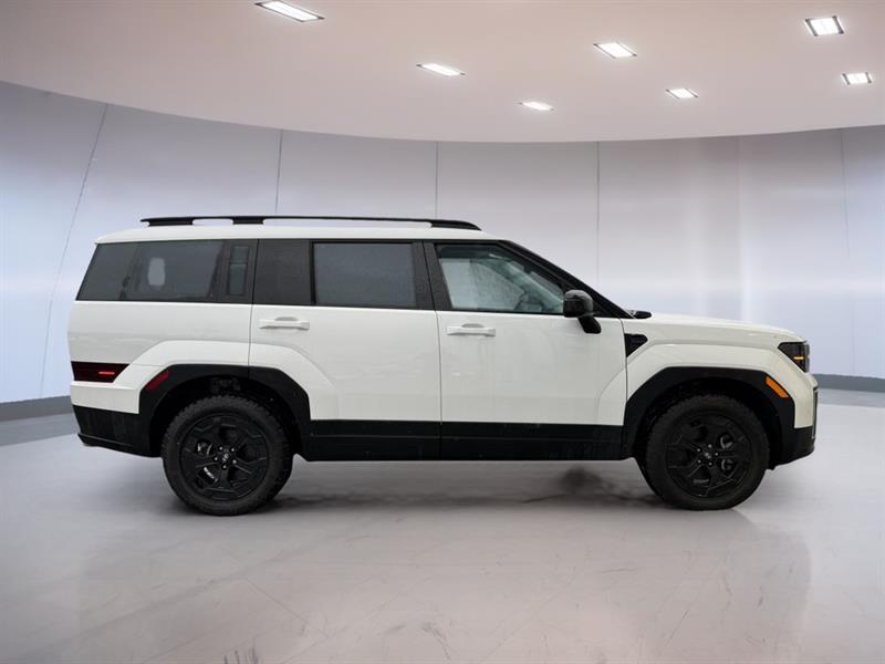 hyundai Santa Fe 2025 - 22