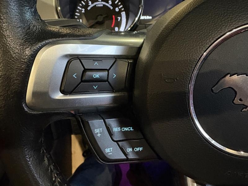 ford Mustang 2016 - 25